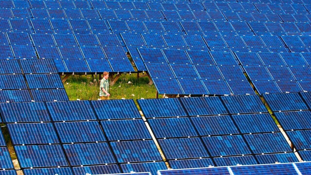 sustainable living
