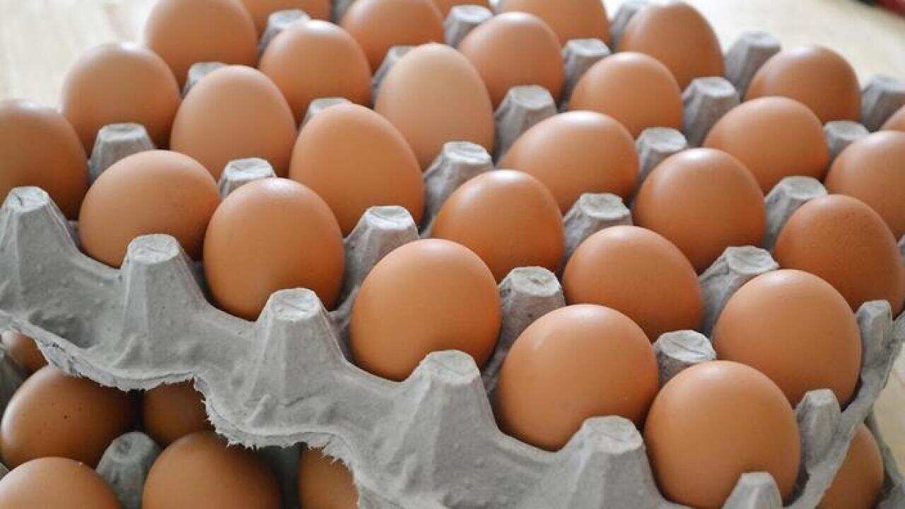 free range eggs