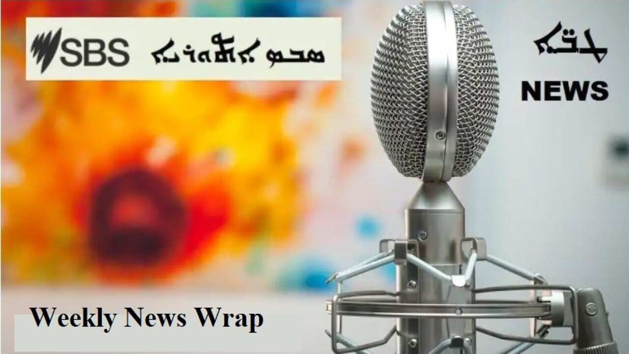 Weekly news wrap.jpg