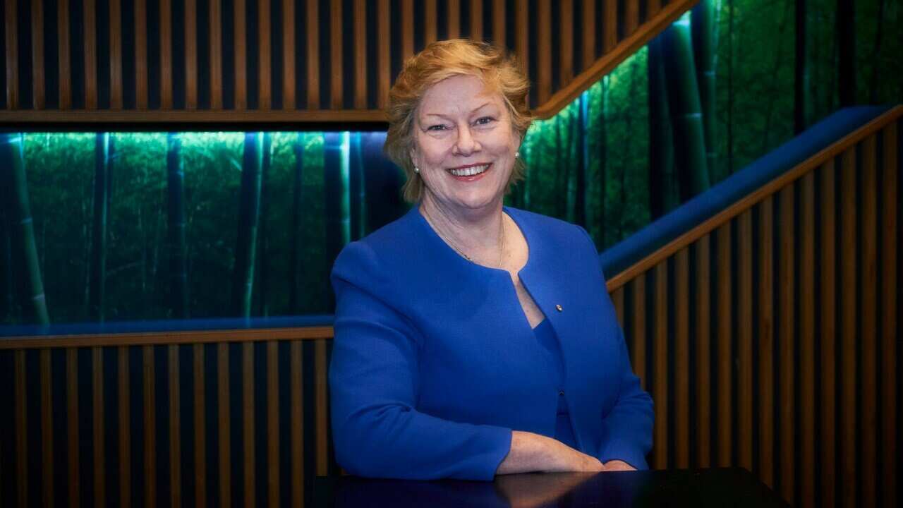 Megan Clark is the first chief executive of the the Australian Space Agency, which launched in July. 