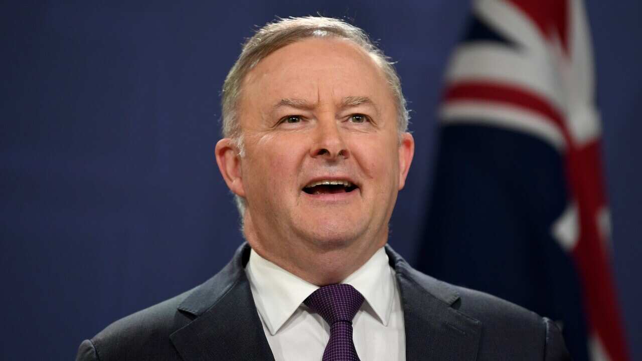 Federal Opposition Leader Anthony Albanese 