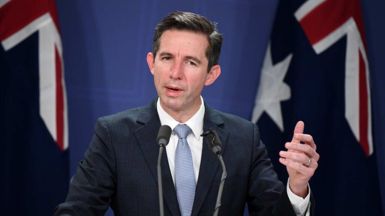 Acting Treasurer Simon Birmingham speaks to the media during a press conference in Sydney, Monday, June 24, 2019. (AAP Image/Joel Carrett) NO ARCHIVING