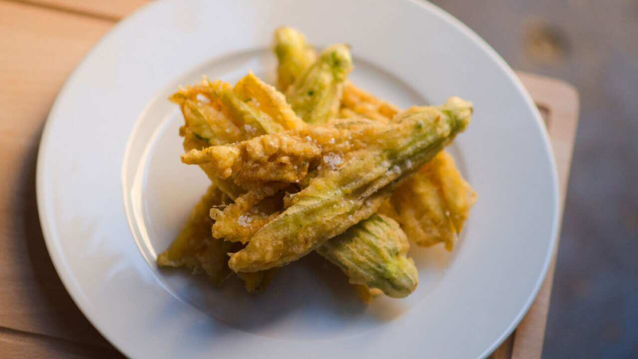 Fried zucchini flowers