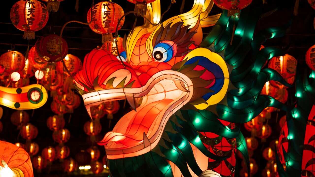 Lunar New Year Celebration