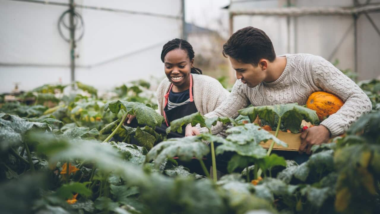 Farming