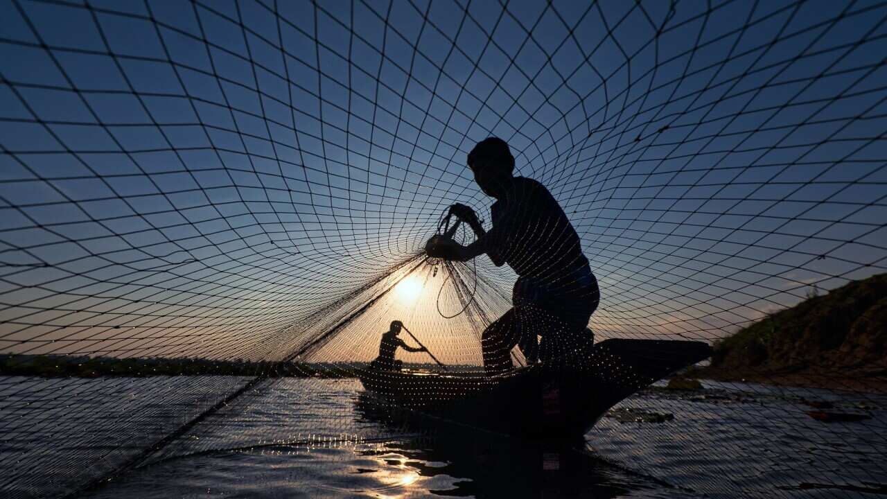 Fishermen are pulling nets for fishing