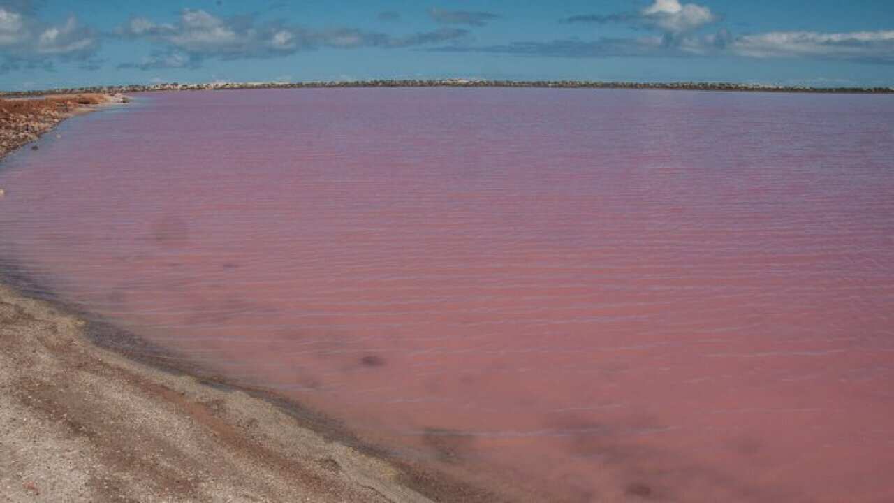 1. Pink Lake in Gregory, W.A. Flickr/Graeme Churchard CC By 2.0