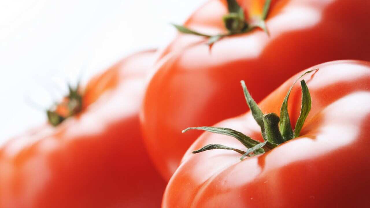 Tomatoes