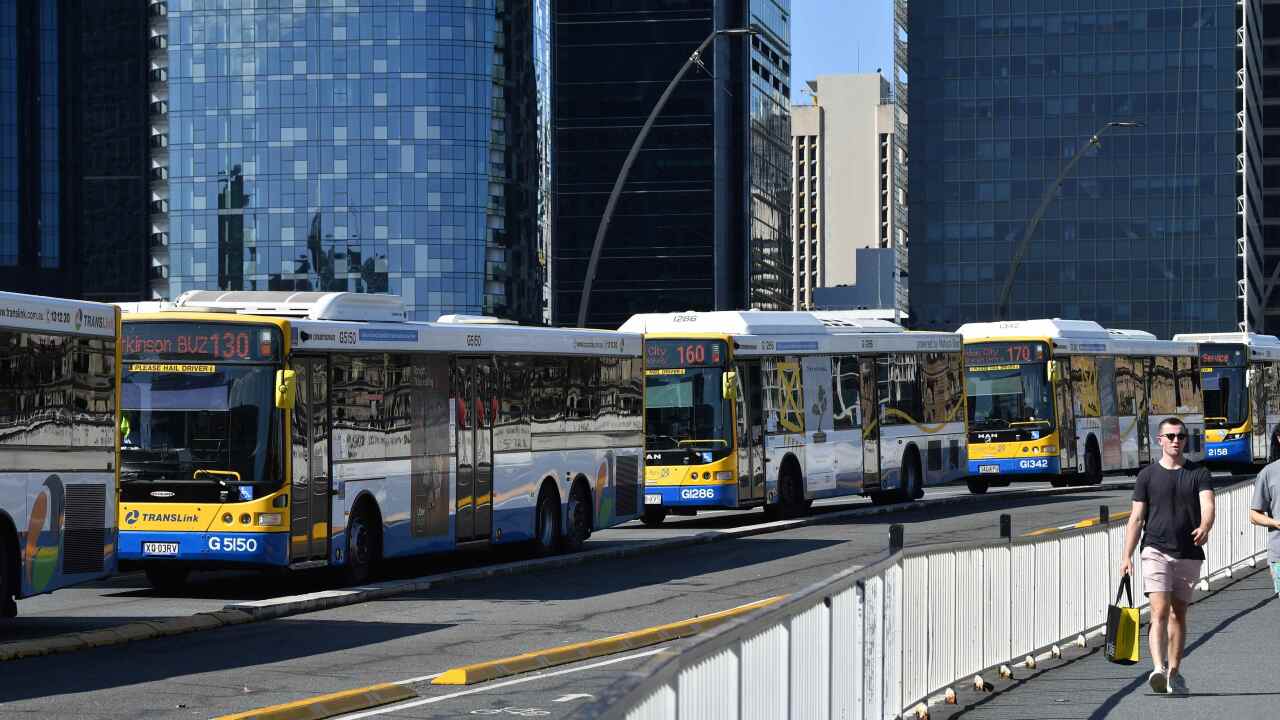 Brisbane Buses 3.jpg