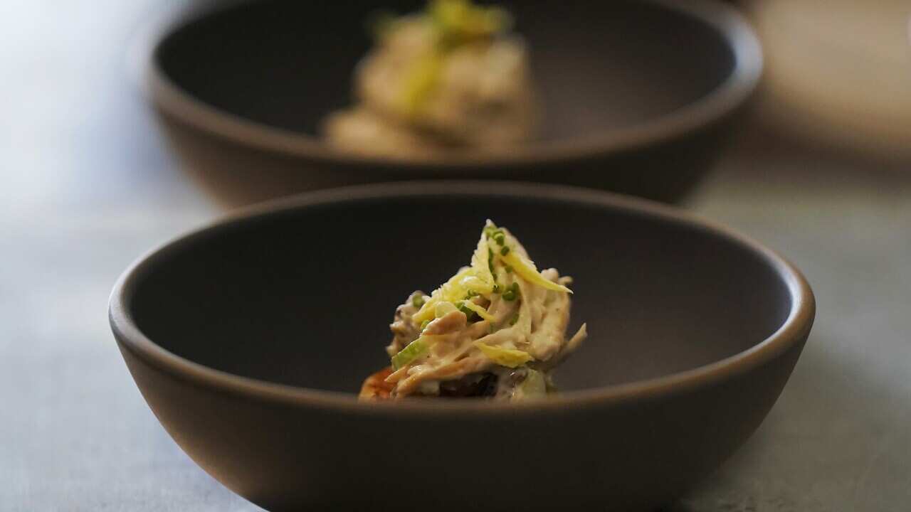 Chicken salad dishes made from cultivated meat.