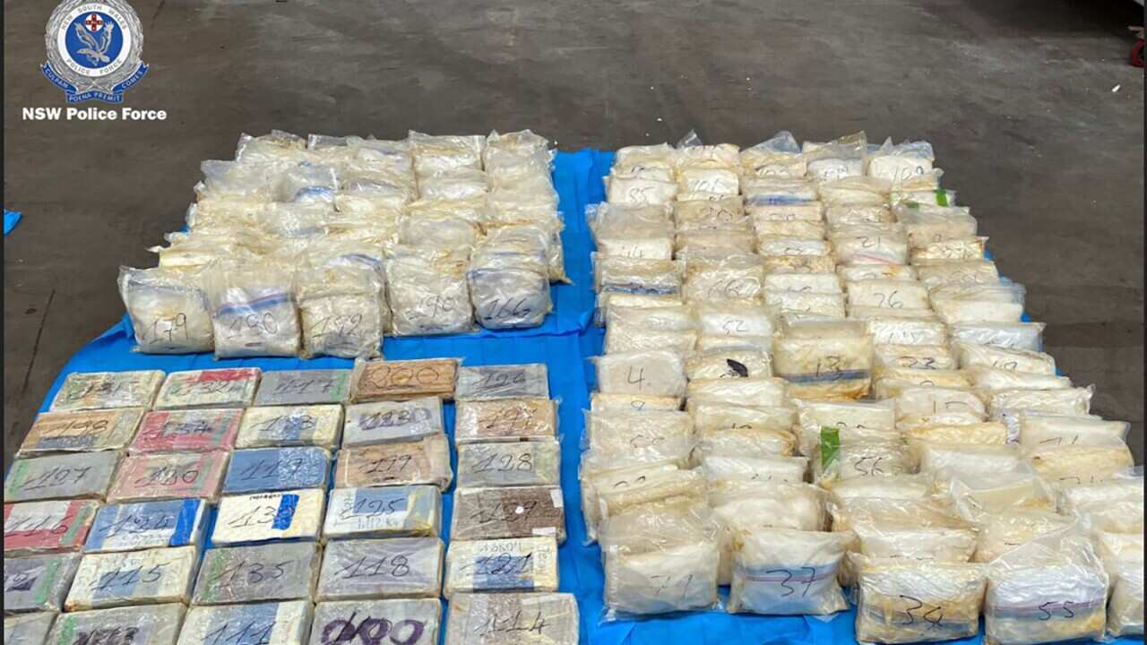 BENTLEY DRUG IMPORTATION