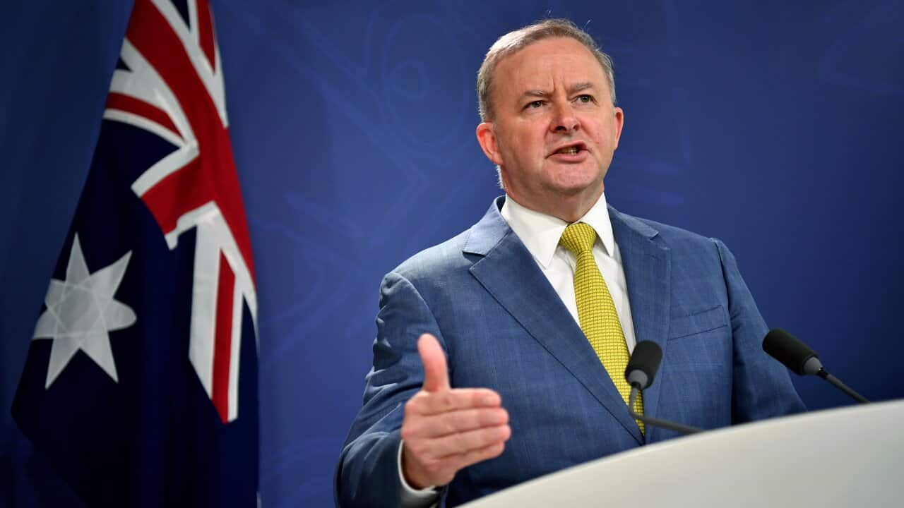 Labor leader Anthony Albanese said it was time the minister went. 