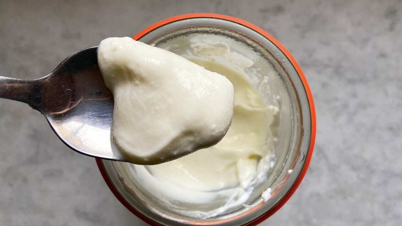 Homemade yoghurt