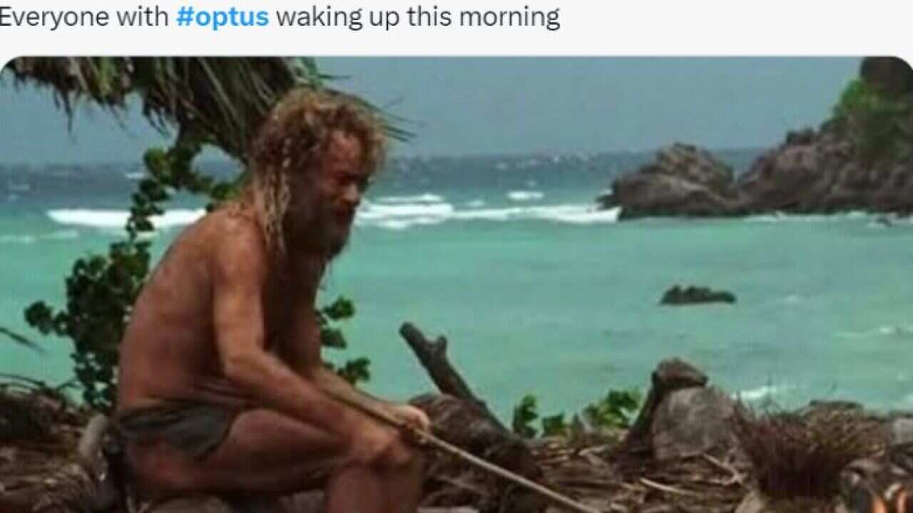 A screenshot of Tom Hanks in the film Cast Away sitting alone on an island, dirty and alone, and the above caption "Everyone with Optus waking up this morning".