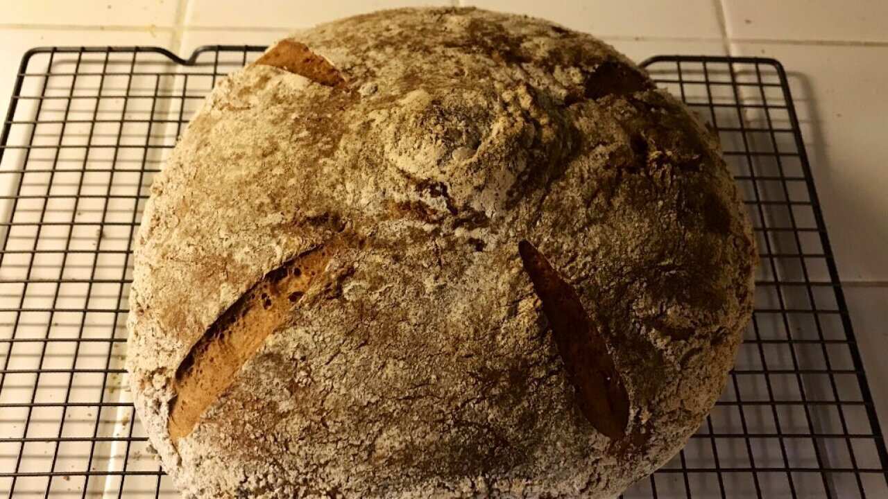 Seamus Blacley 4,500-year-old yeast to make bread