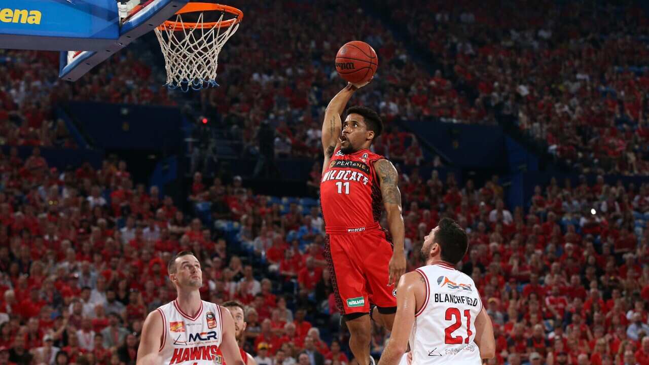 Perth Wildcats