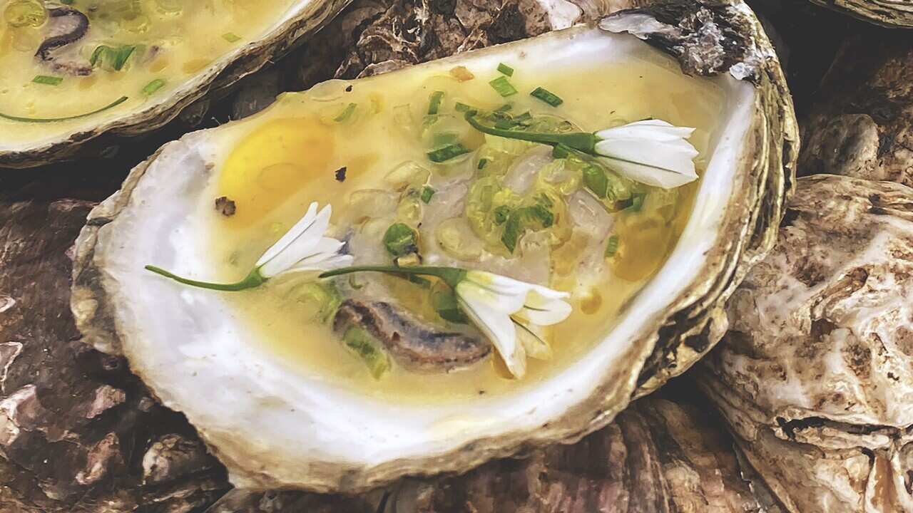 Steamed oysters