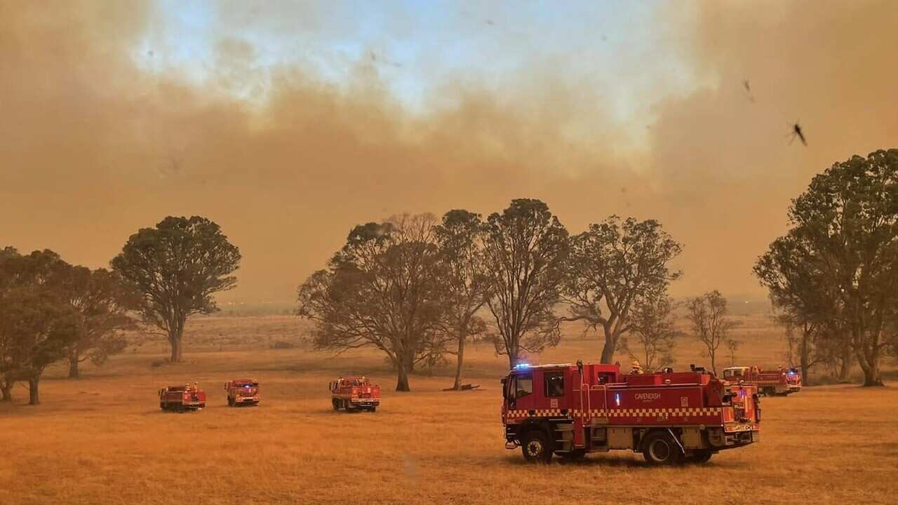 A group of fire trucks in a grassy field under a smoke-filled sky