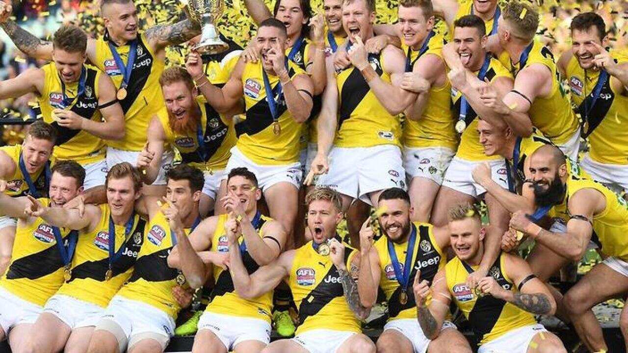 The Tigers' first AFL premiership in 37 years is vindication of their grand plan