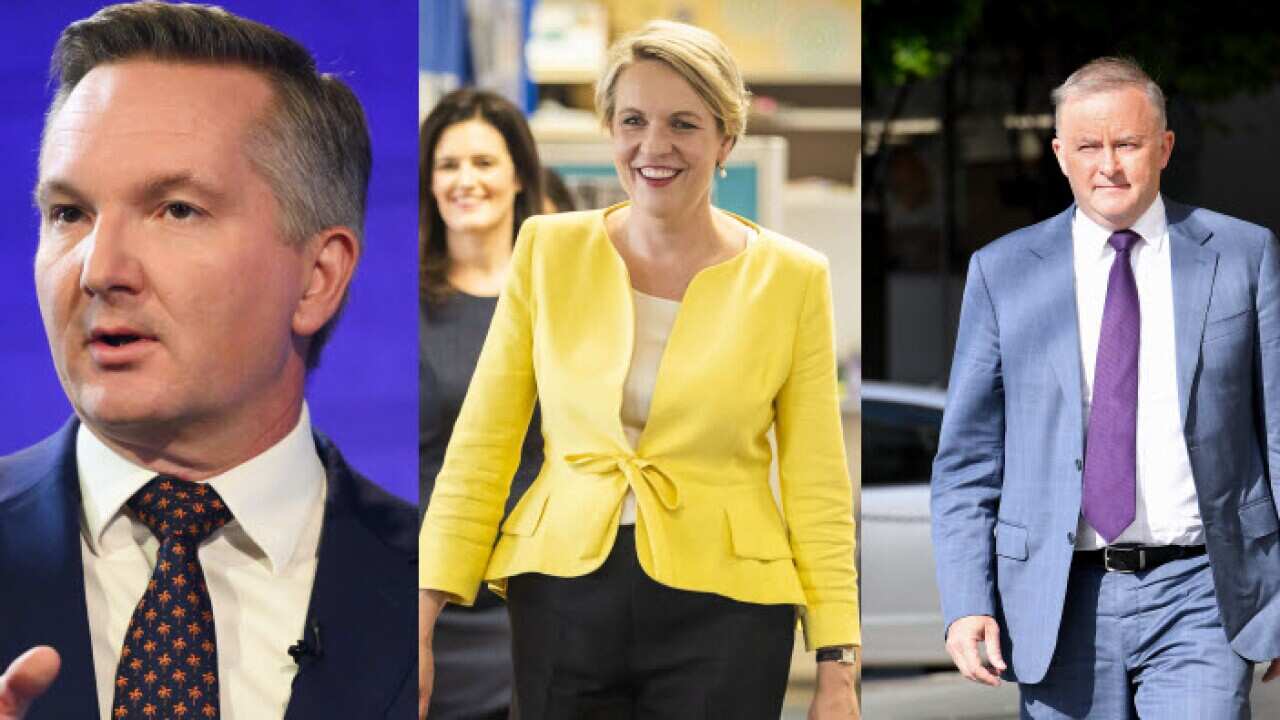 Left to Right: Chris Bowen, Tanya Plibersek and Anthony Albanese are prominent labor figures who may become the next labor leader.