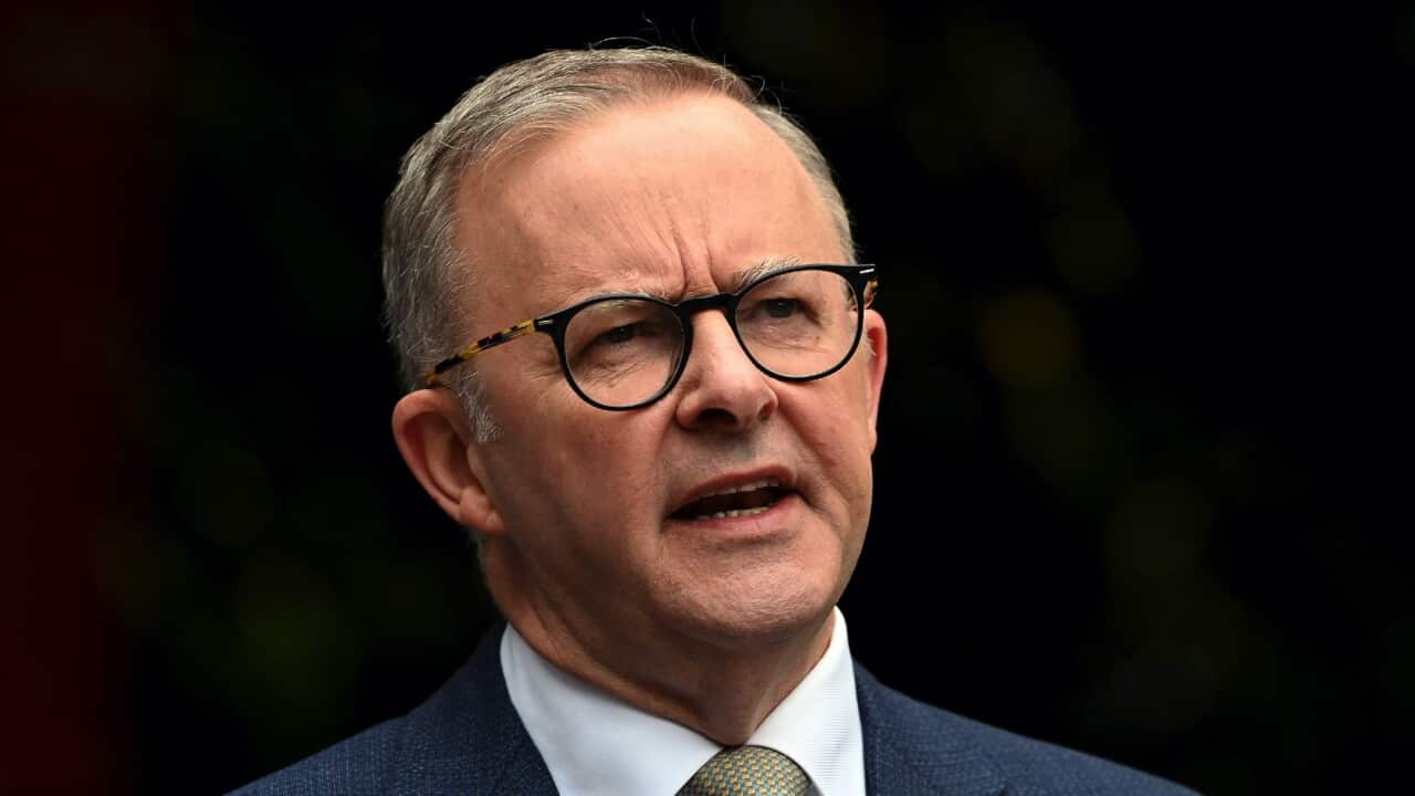  Anthony Albanese speaks to the media in Sydney.