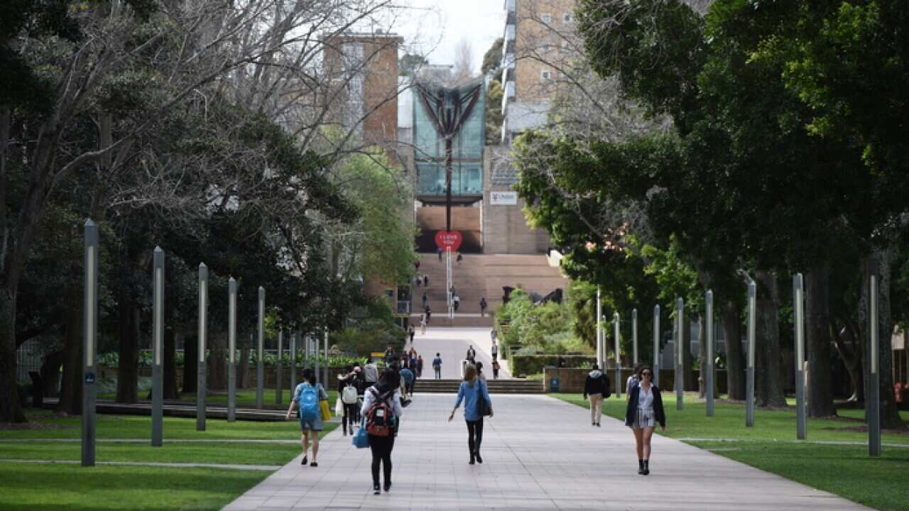 Students at UNSW.