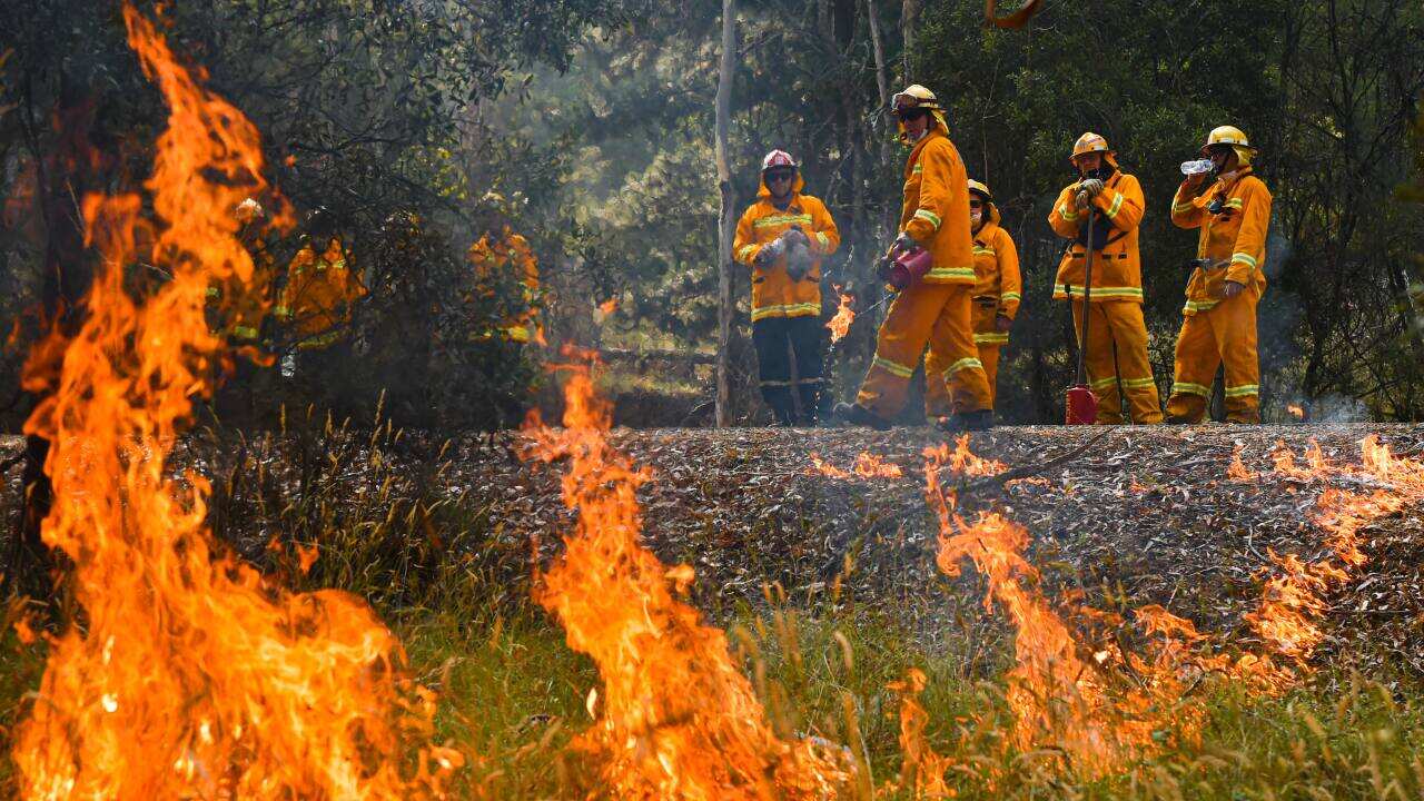 CFA strike teams performing controlled burning west of Corryong, Victoria.