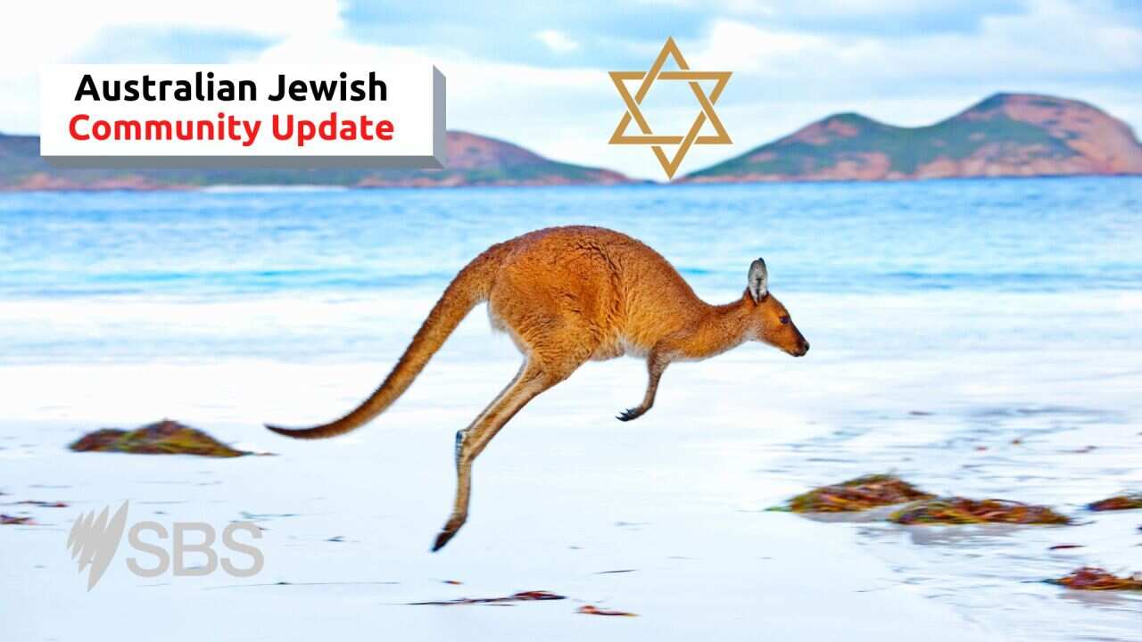 Australian Jewish Community Update