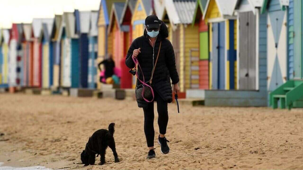 A person wearing a face mask is seen walking their dog along Brighton beach in Melbourne during the Stage Four lockdown. 