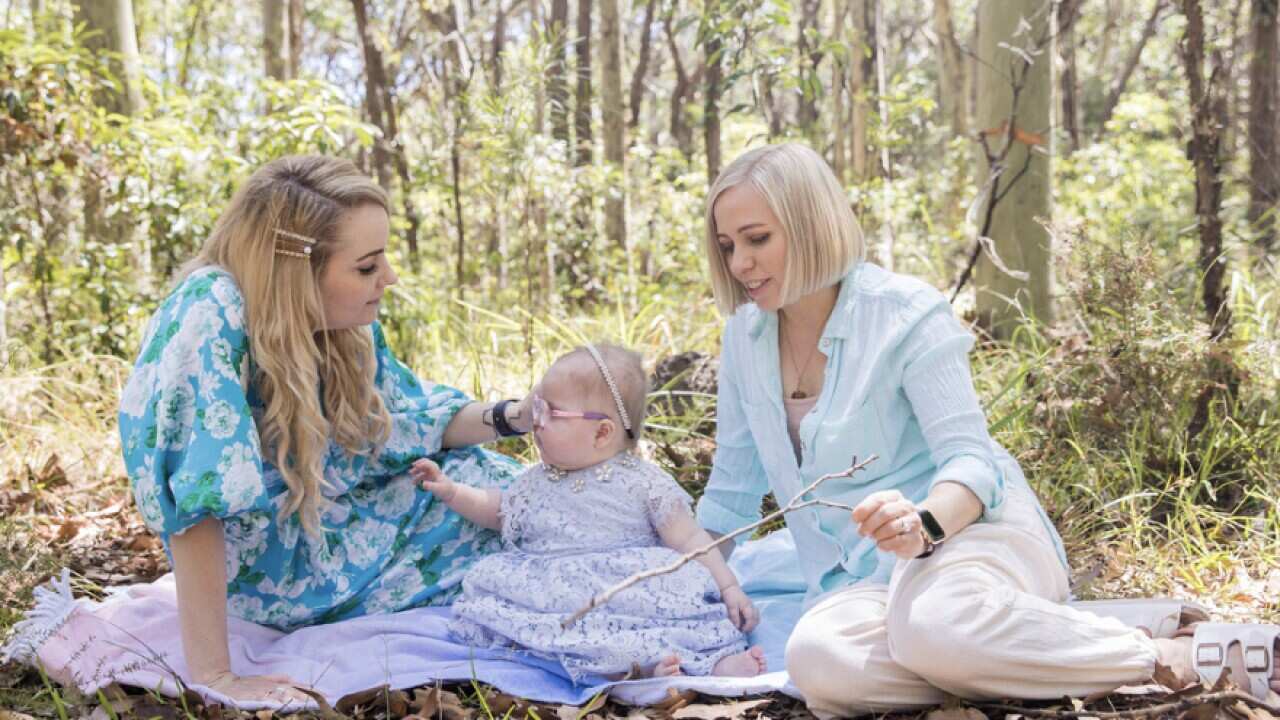 Two women sit on leaves in the bush, with a young baby sitting between them.