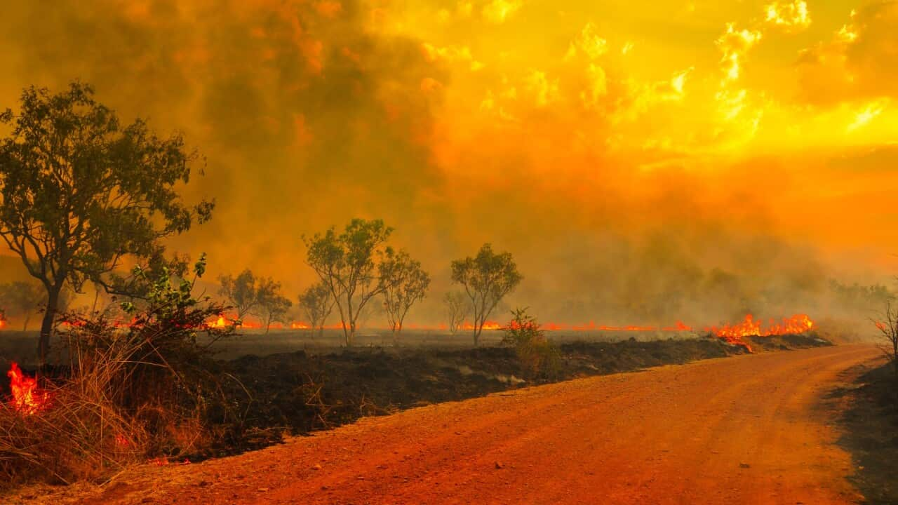 bushfires Australia 