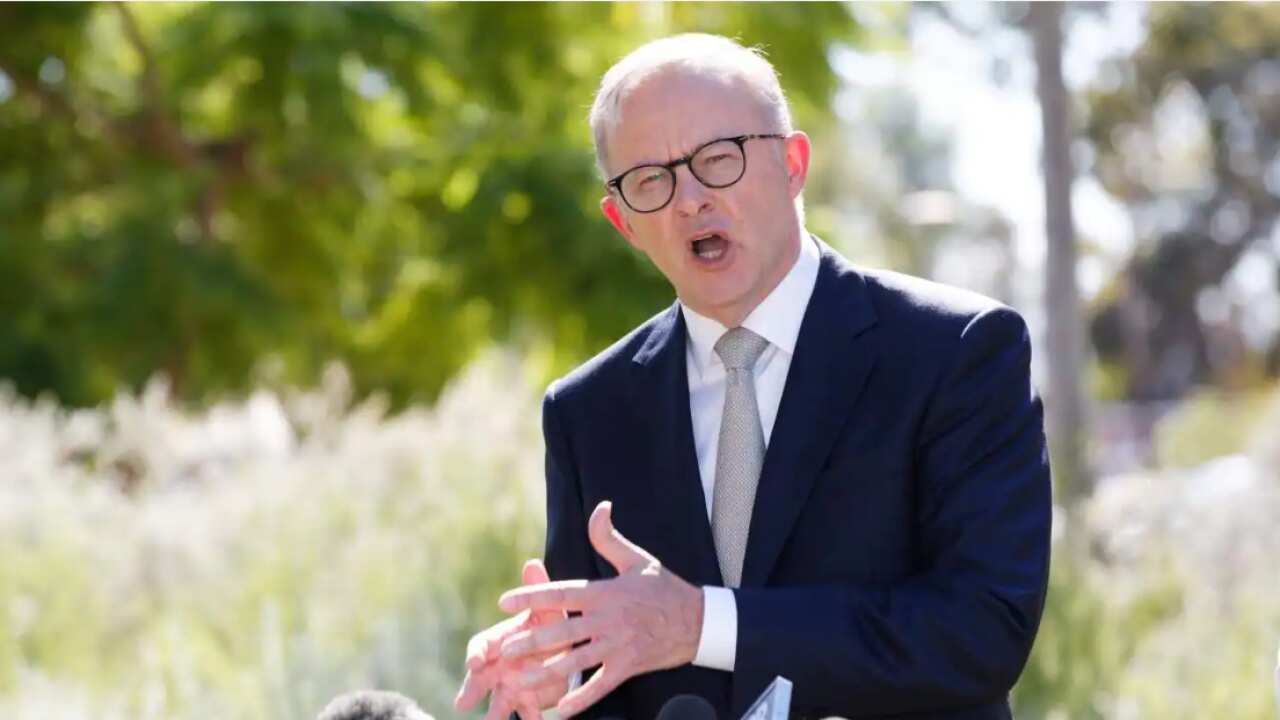 Federal Opposition leader Anthony Albanese