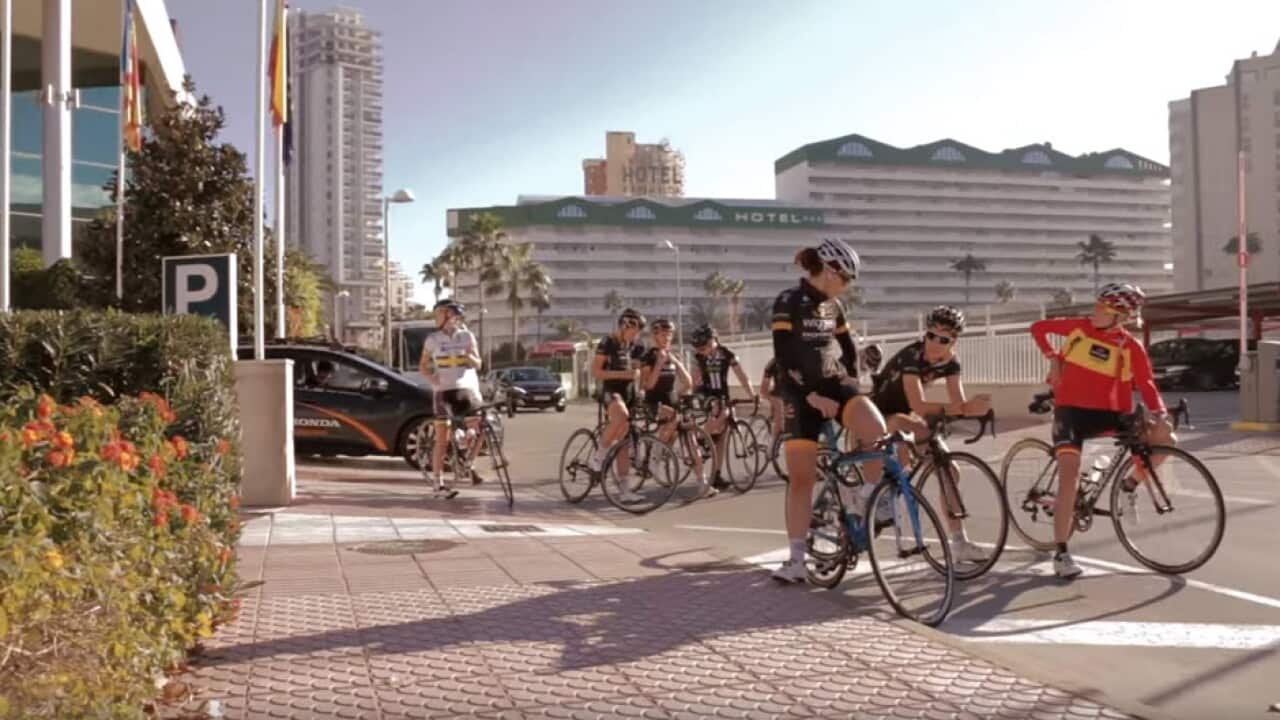 Wiggle Honda