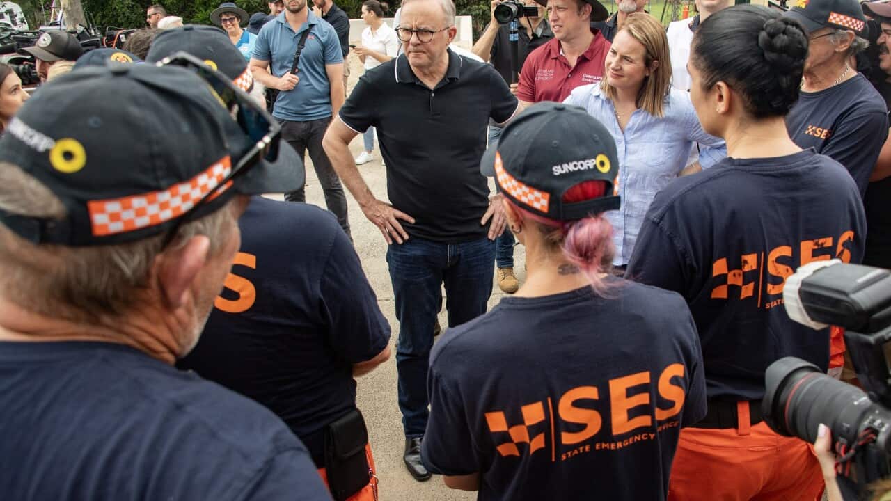 ANTHONY ALBANESE CAIRNS VISIT