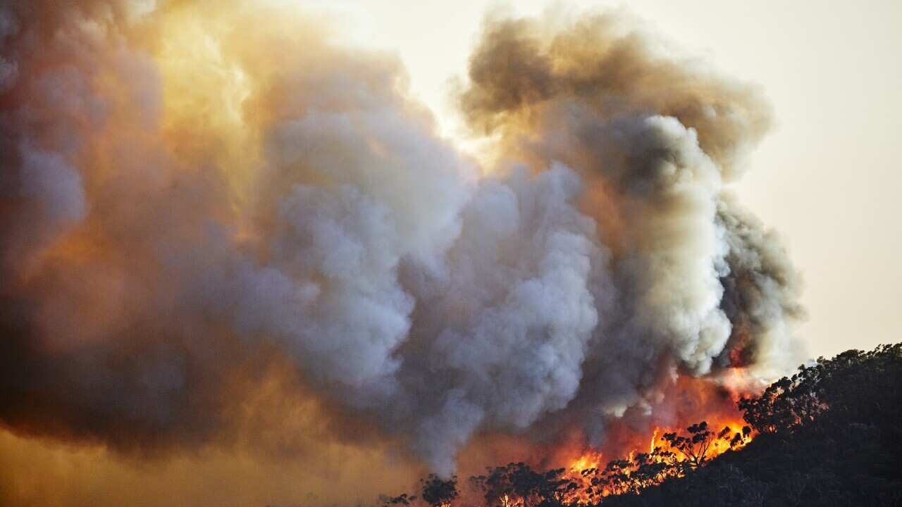 Forest fire, bushfire with flames and sun illuminated smoke clouds at dusk on mountain ridge, Blue Mountains, Australia