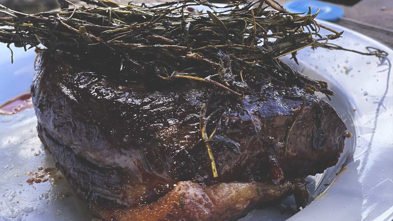 Campfire venison