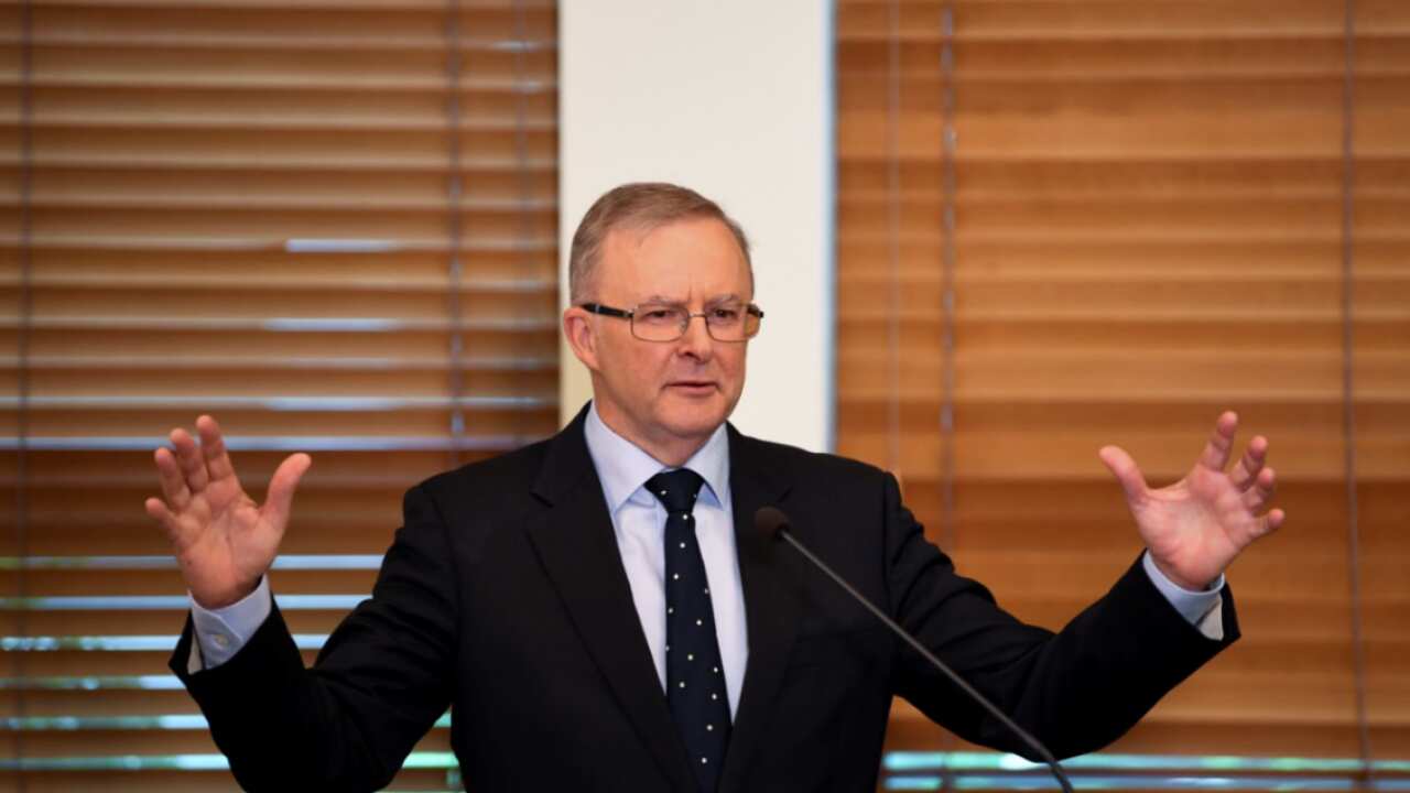 Opposition Leader Anthony Albanese speaks at Parliament House in Canberra.