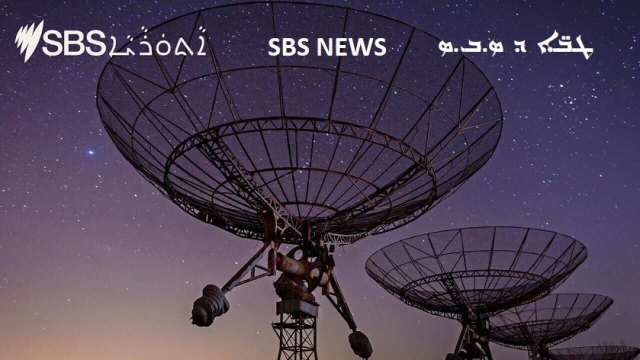News