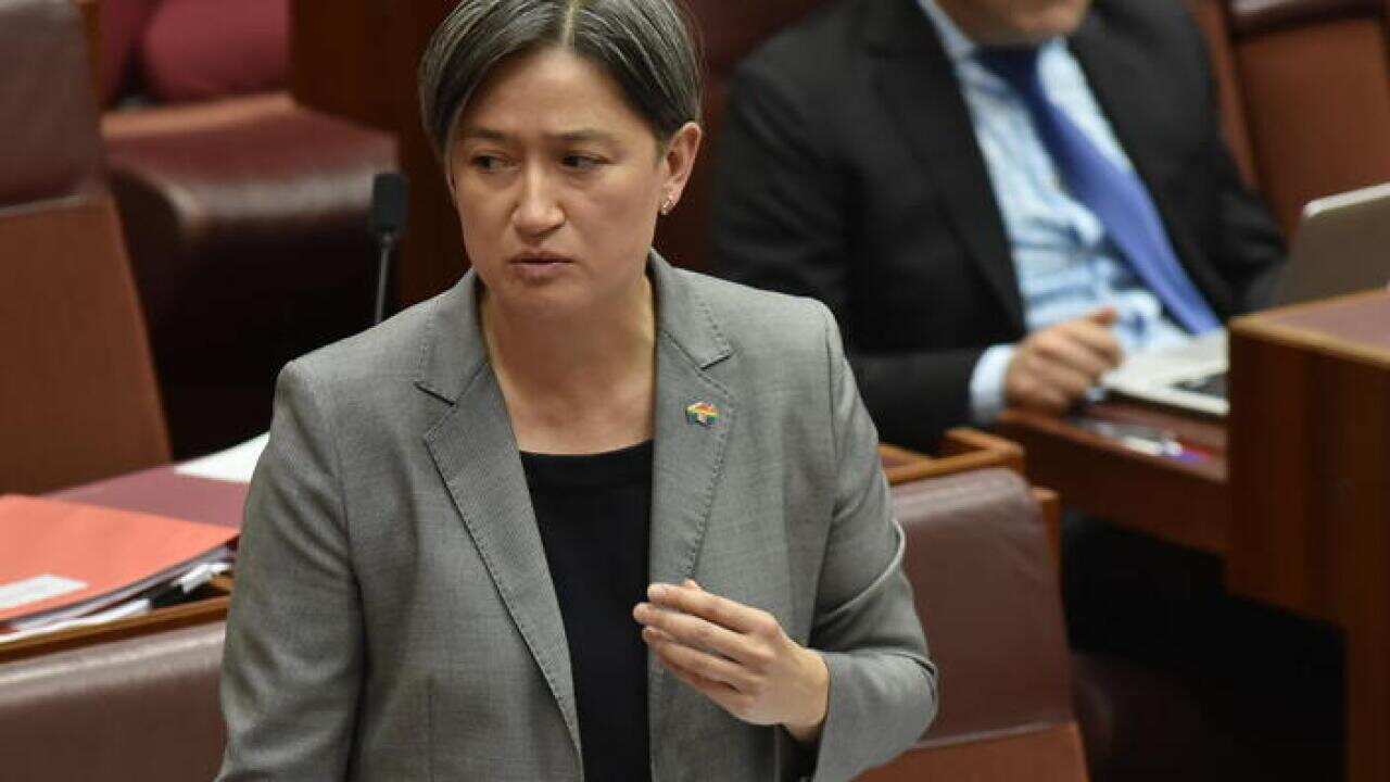 Senator Penny Wong in Parliament