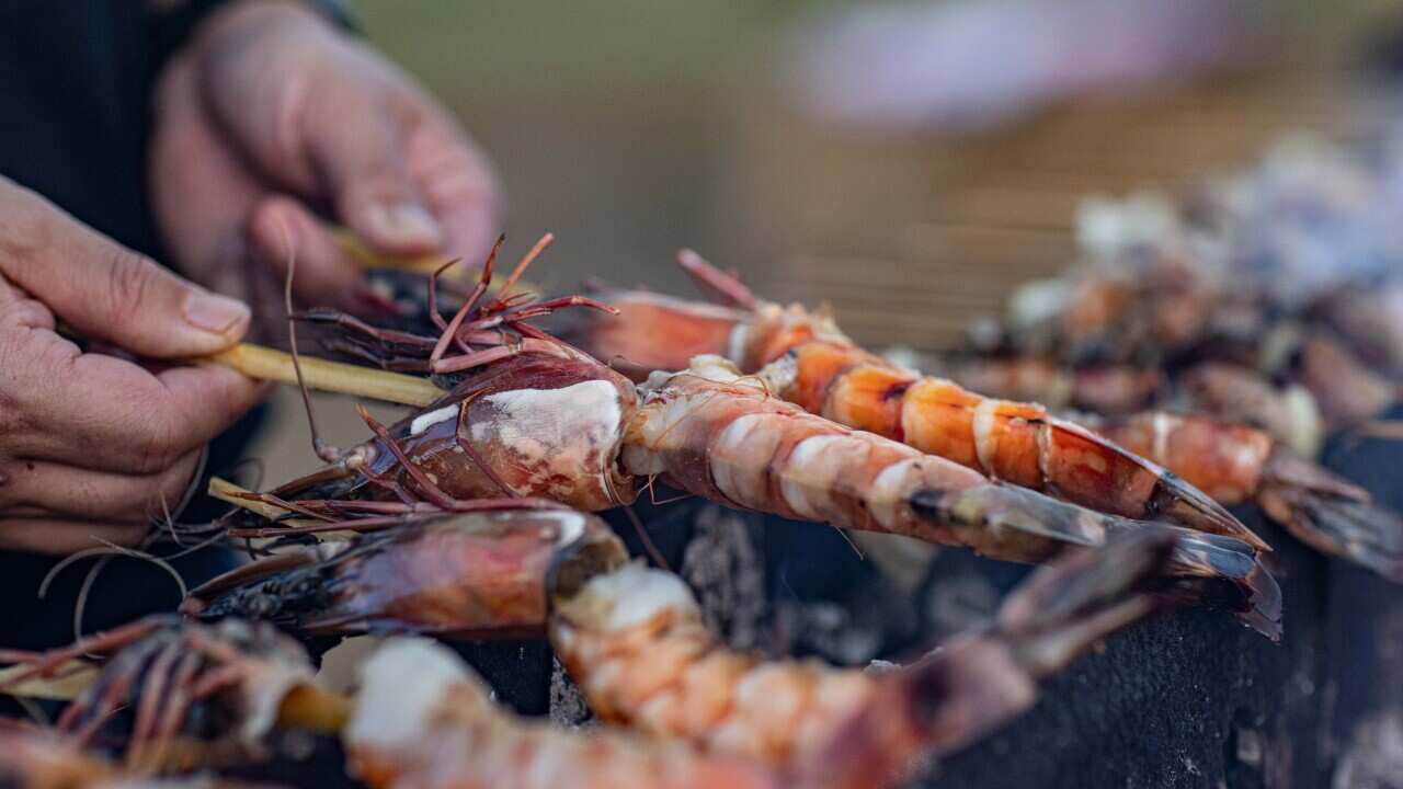 Leader prawns on sugarcane skewers