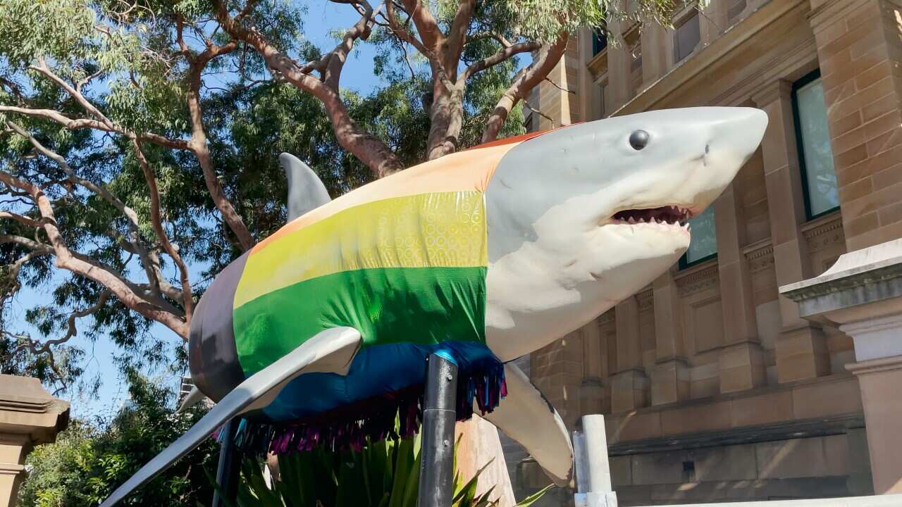 A large model of a great white shark outside with a mutlicoloured flag draped over it.