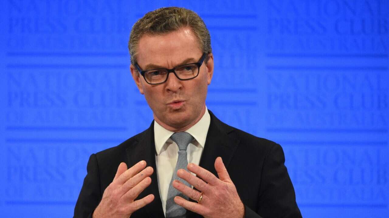 File image of Minister for Industry Christopher Pyne