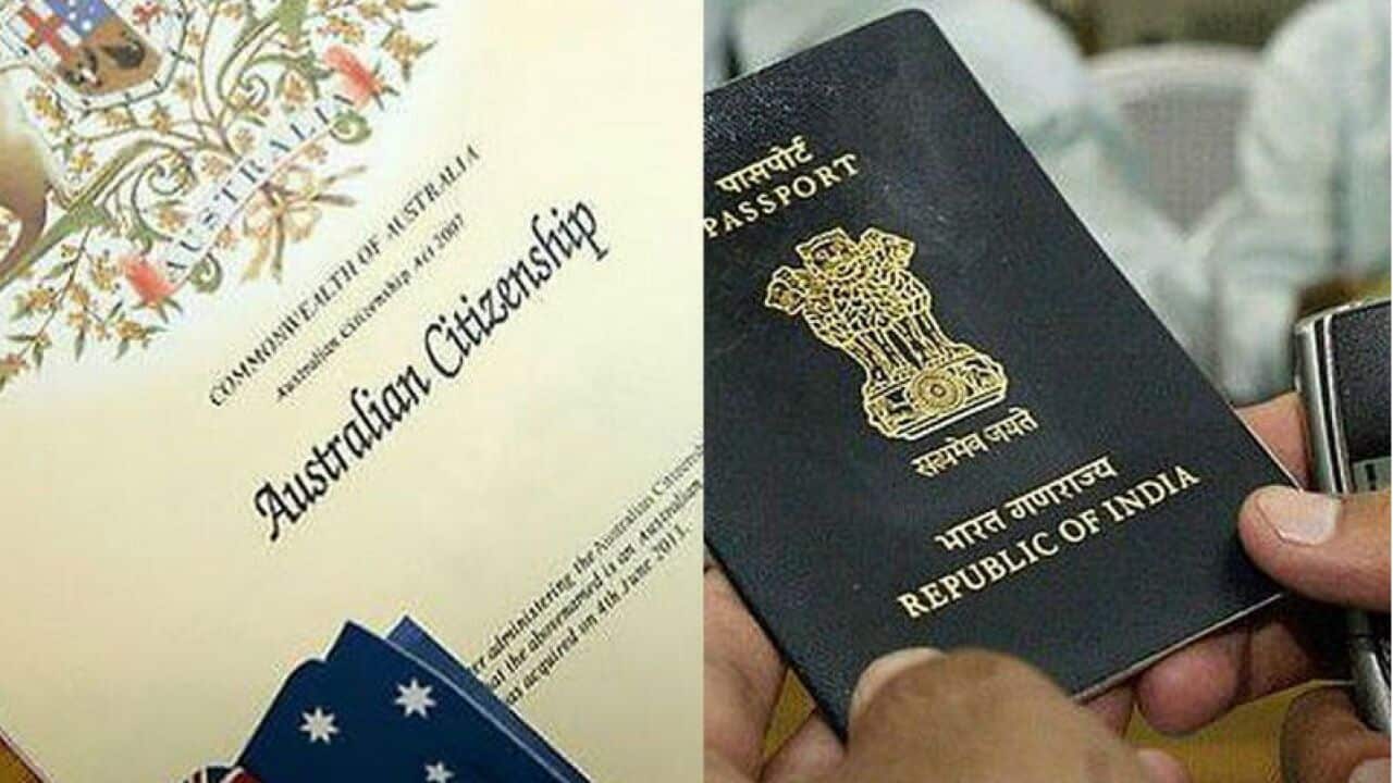 Image for read more article 'More from SBS Punjabi'