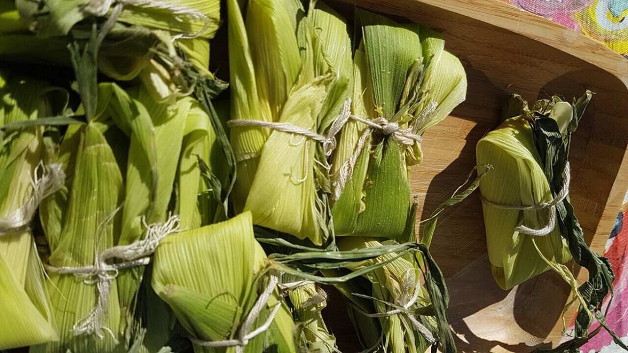 South American corn humitas