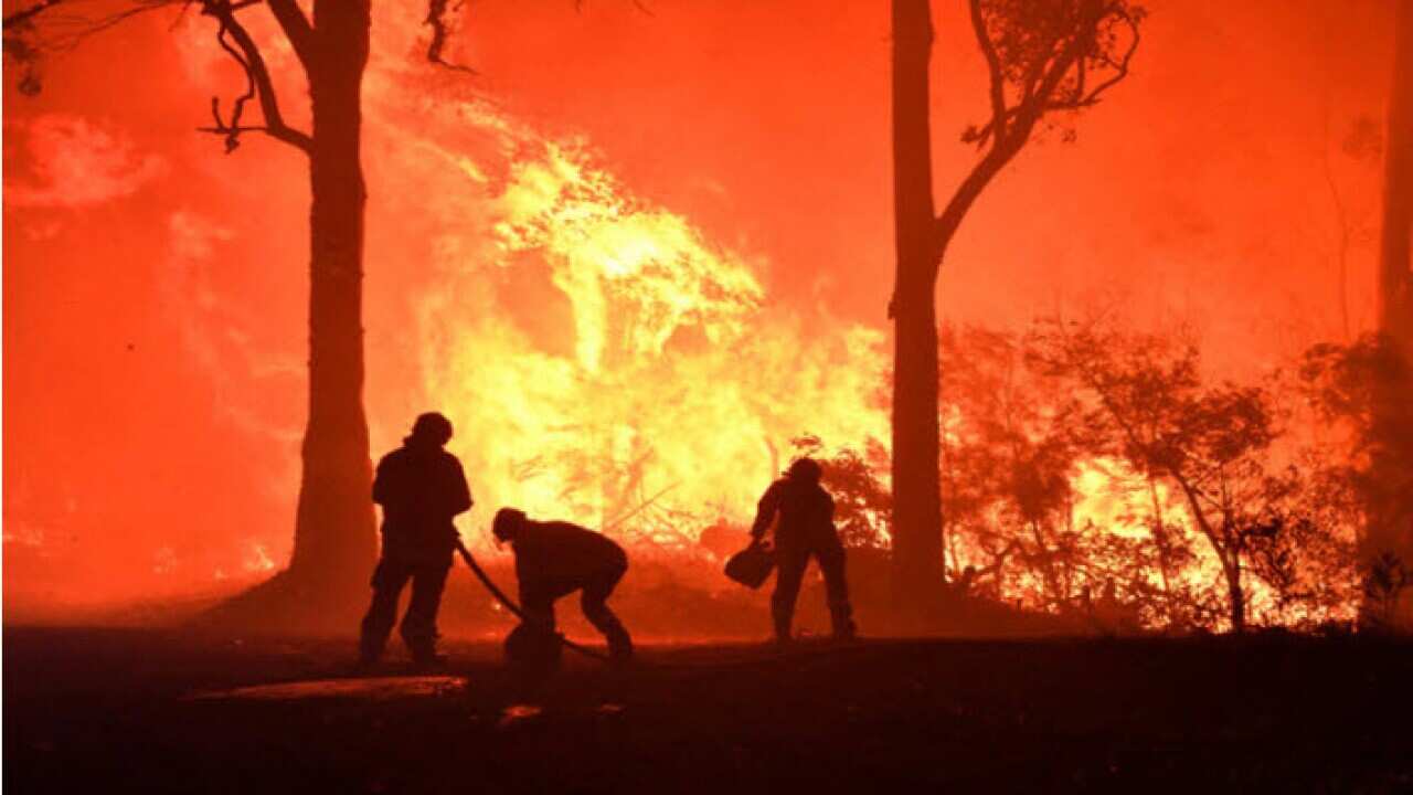 Gli incendi in Australia hanno bruciato un'area pari a quella di Piemonte e Lombardia 