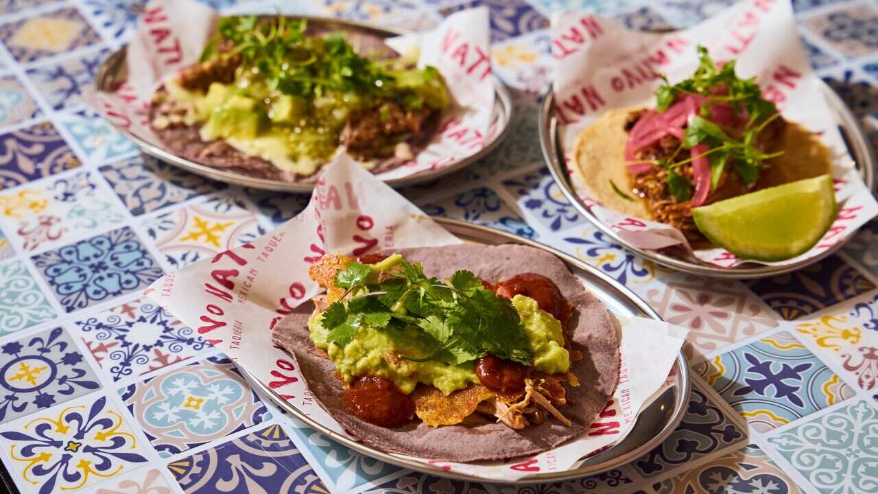 Mexican traditional tacos