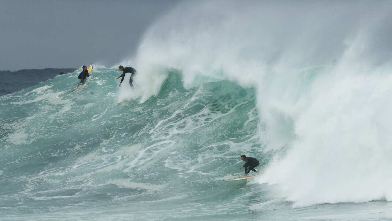 MELBOURNE DAILY LIFE