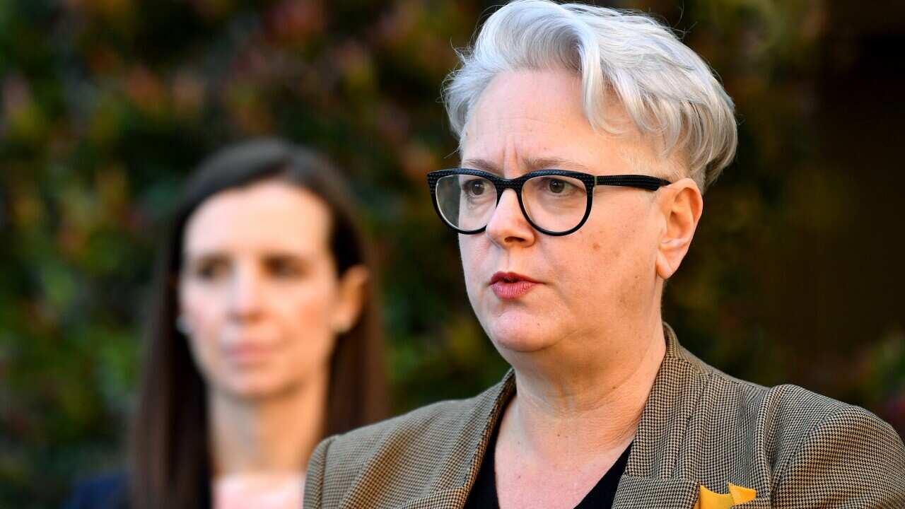 NSW Labor MP Penny Sharpe in a brown suit jacket addresses the media. 