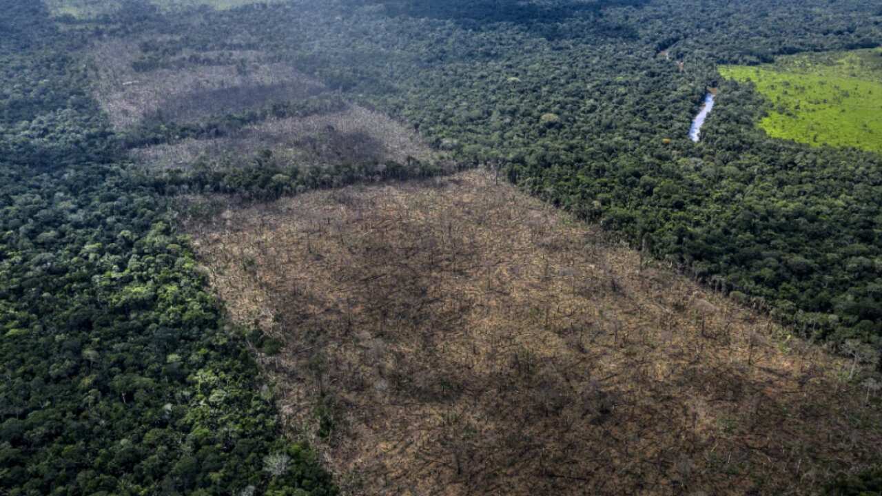 An area of illegal deforestation in the in the Indigenous Uru-Eu-Wau-Wau territory in Rondonia, Brazil