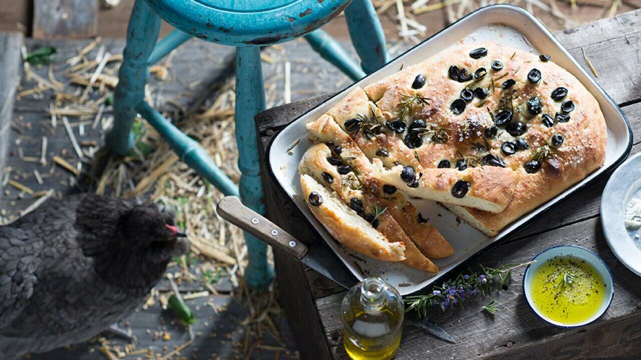 Focaccia